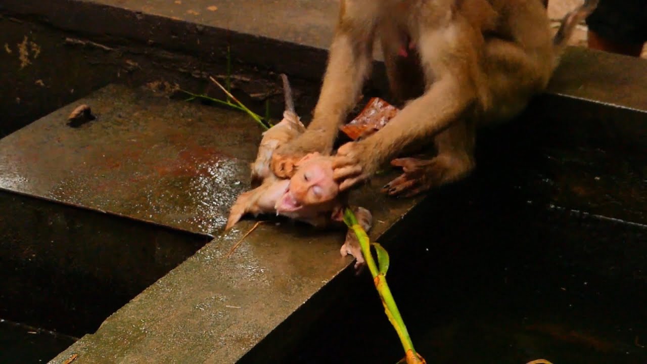It's wrong action of mom Libby ....Poor Lily really so pity cried by mom Libby |