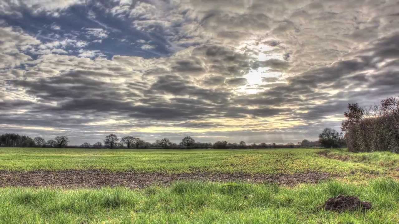 The Fens