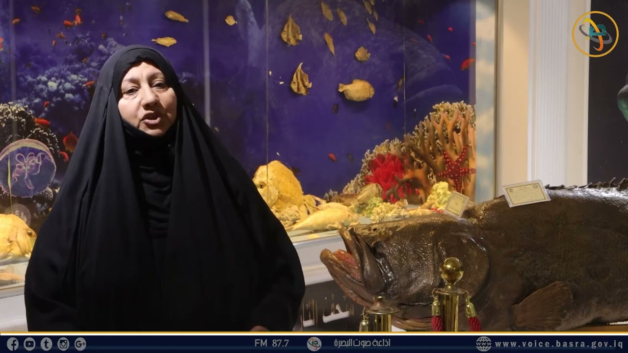 متحف التاريخ الطبيعي.. أيقونة بصرية بين الأمس واليوم..