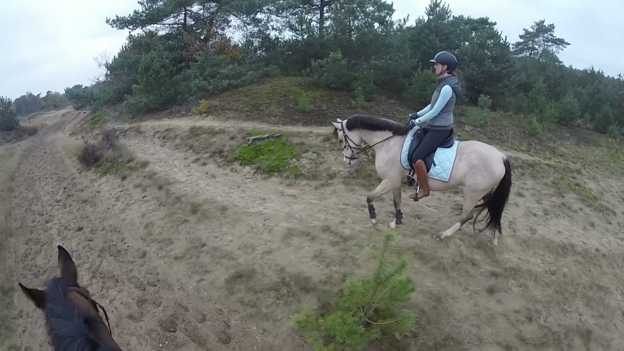 Pretraket en Ariekanarie on tour op het kootwijkerzand | GoPro | EquiFlo