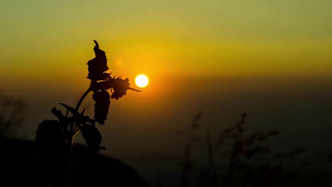 موسيقى لاوقات الدراسة و الحفظ تعمل على زيادة الذاكرة و التركيز Relaxing Background Music For Study &