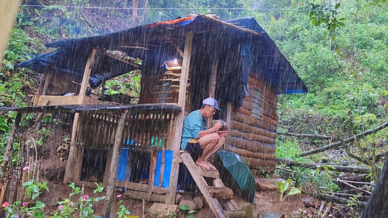 Video Jarak Perjalanan Dari Rumah Ke Pondok Hutan Yang Selalu Hujan Deras Setiap Hari 