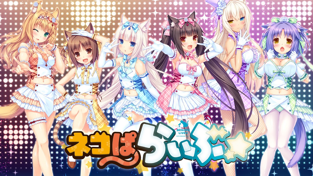 【360度動画】【4K】ネコぱらいぶ☆｜ドキドキ☆ココロ☆フレーバー