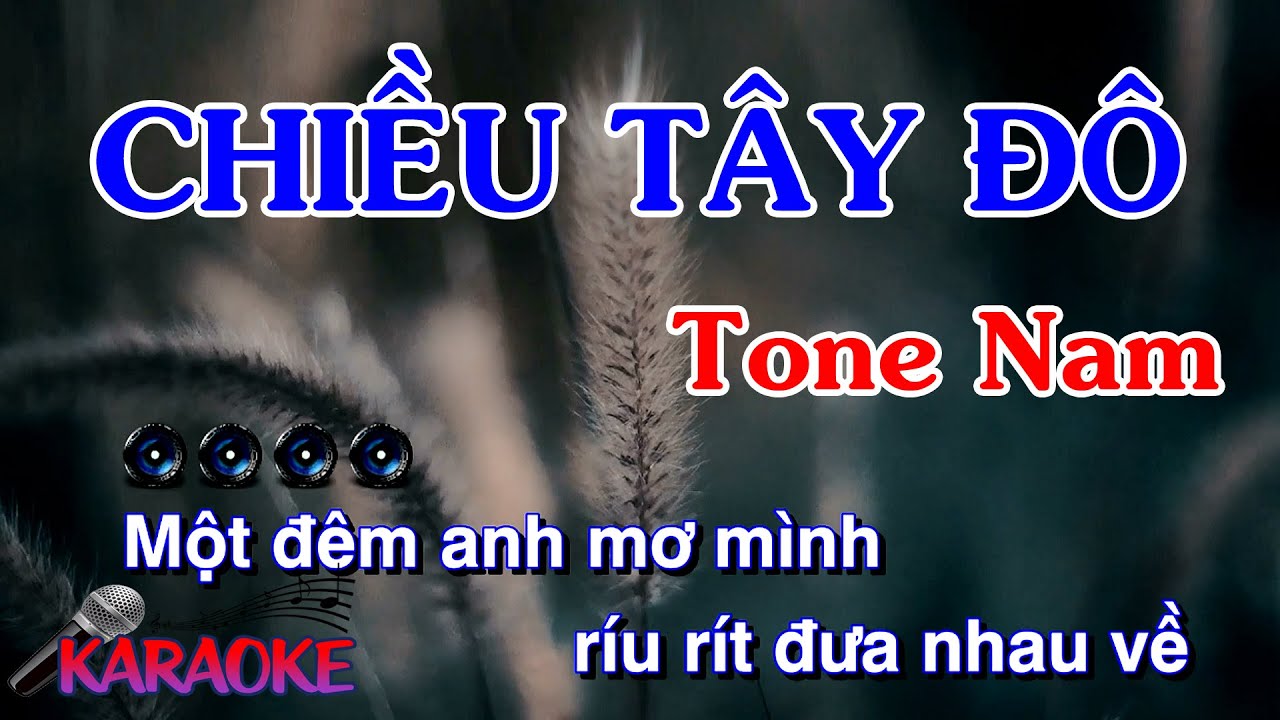 Karaoke Chiều Tây Đô Tone Nam Beat Chuẩn I Nhạc Việt Karaoke