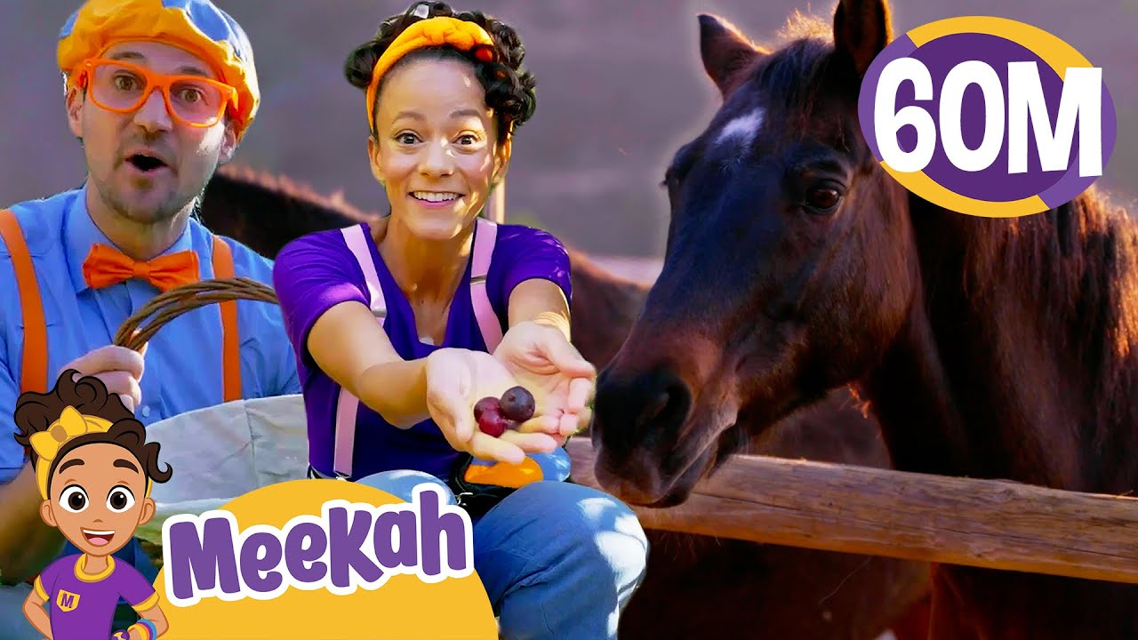 Blippi & Meekah Visit A Farm! | Educational Videos for Kids | Blippi and Meekah Kids TV