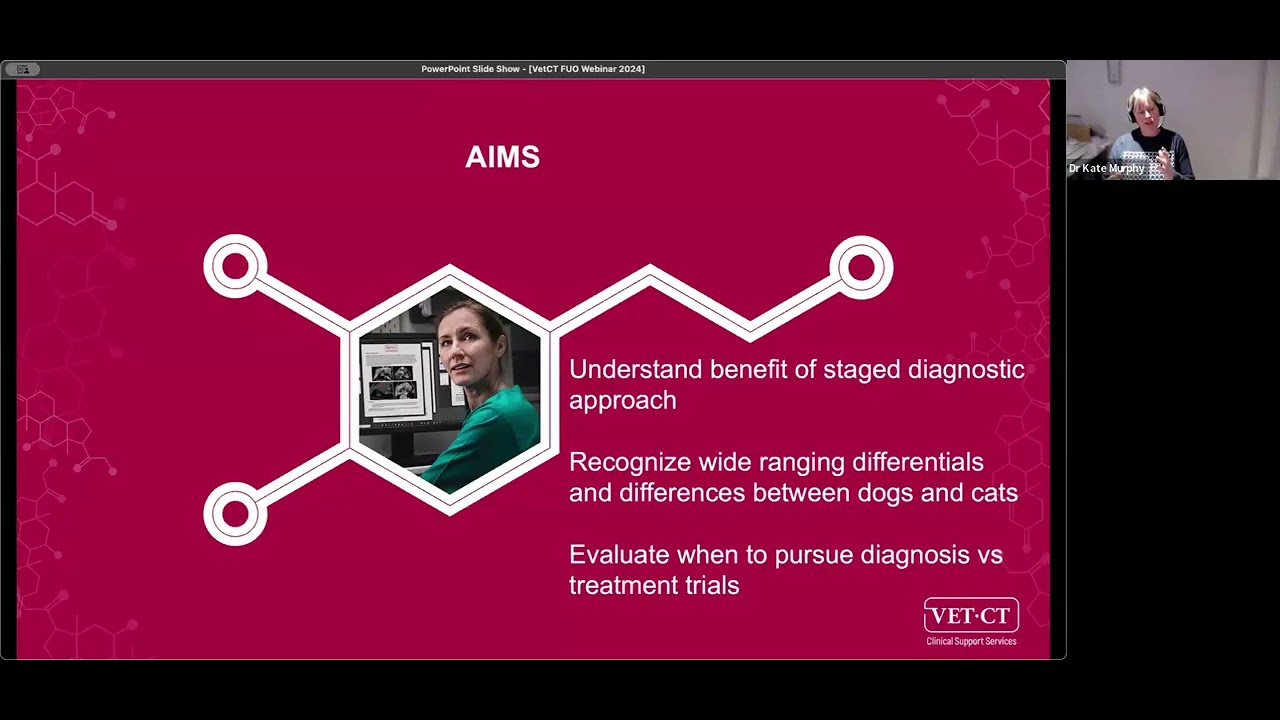 VET.CT Veterinary Webinar: Pyrexia of unknown origin - tips and guidance