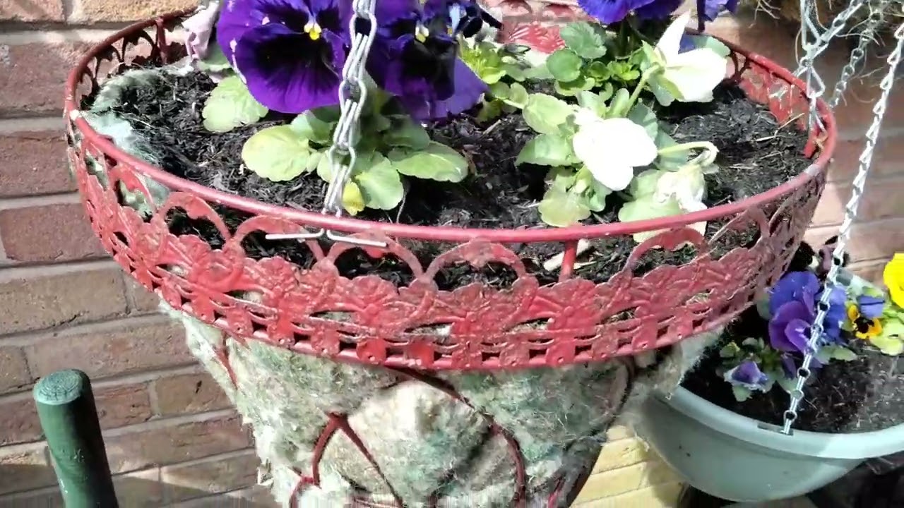 Garden tour Part 2