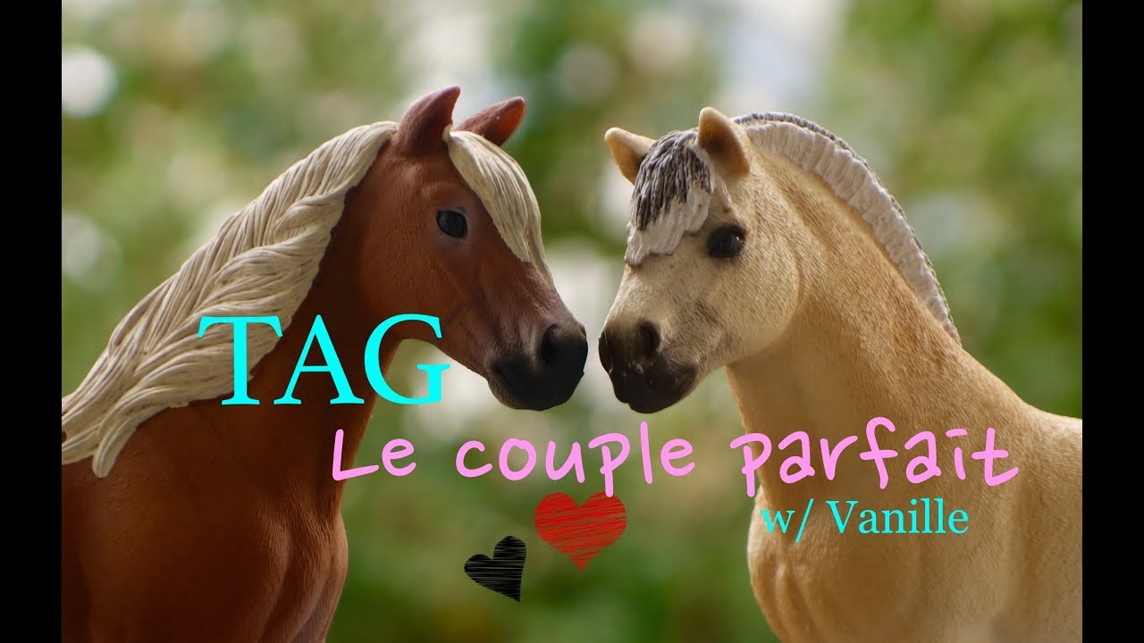 (TAG SCHLEICH) Le couple parfait / with Vanille' ♥