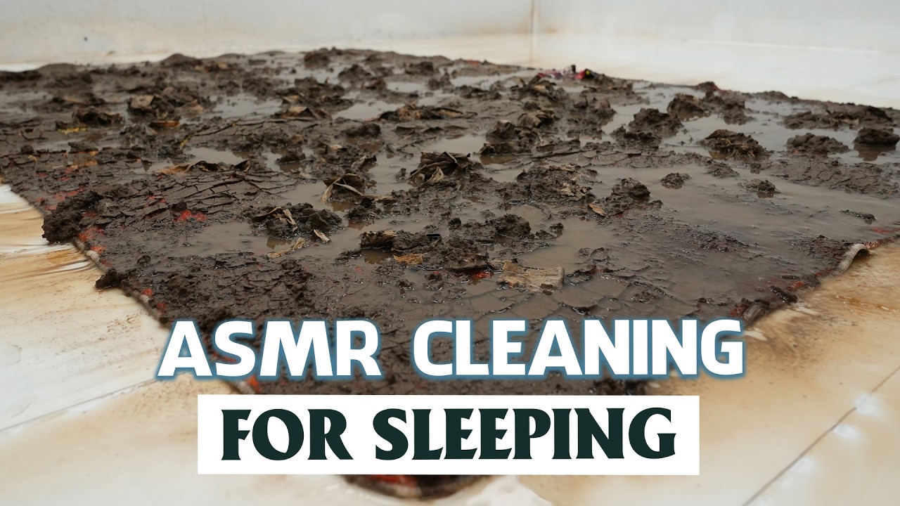 Slow Carpet Cleaning ASMR for Sleeping – Hypnotic Sounds, Anxiety Relief, Stress Relief