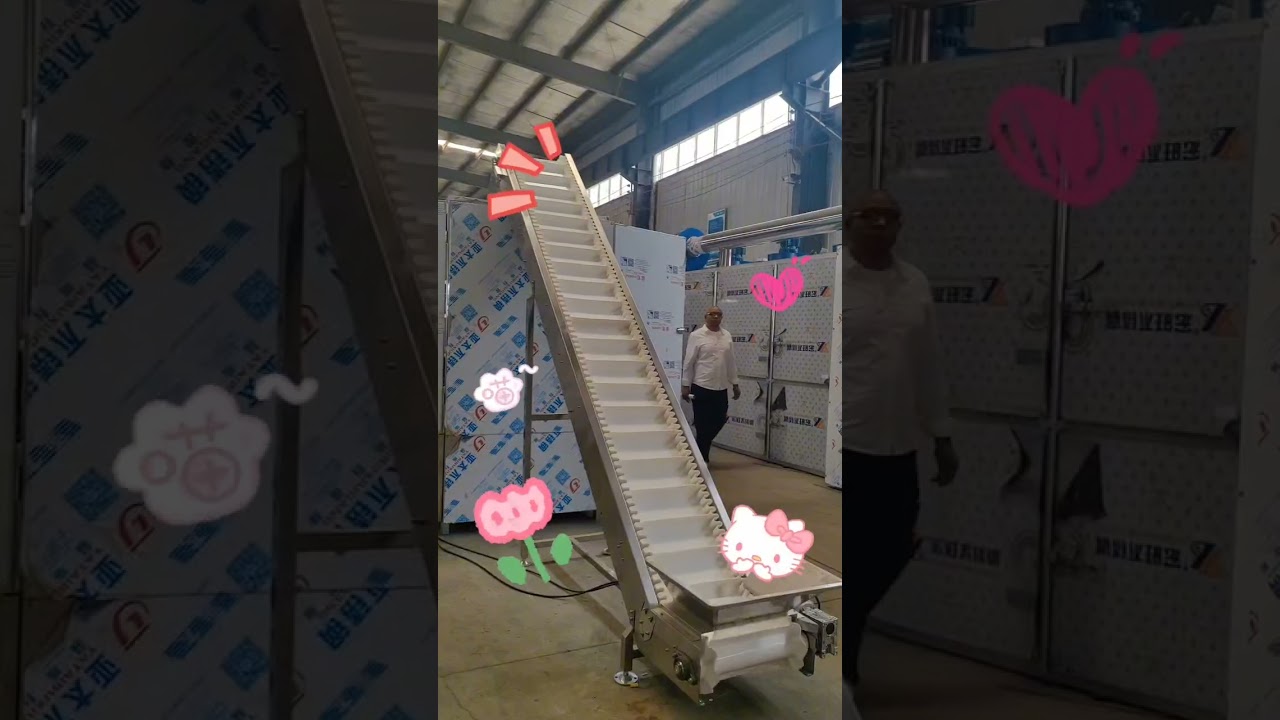Soya mince machine;soya protein machine;soy chunks/nugget machine #soyaprotein #extruder #Saibainuo