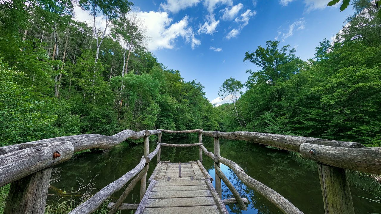 Podyjí National Park on bike