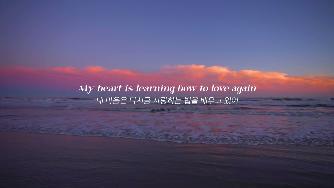 새벽공기를 머금은 노래 🌃 LANY - Alonica [가사해석/번역/자막]