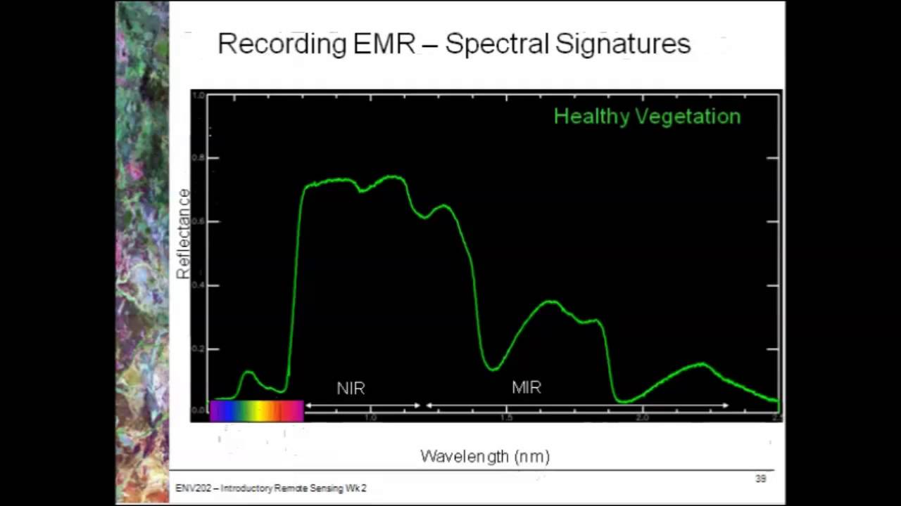 Spectral Signatures