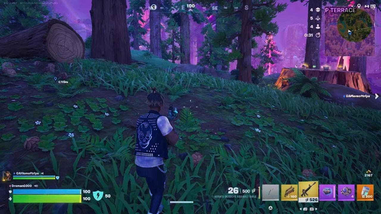 Duo dub