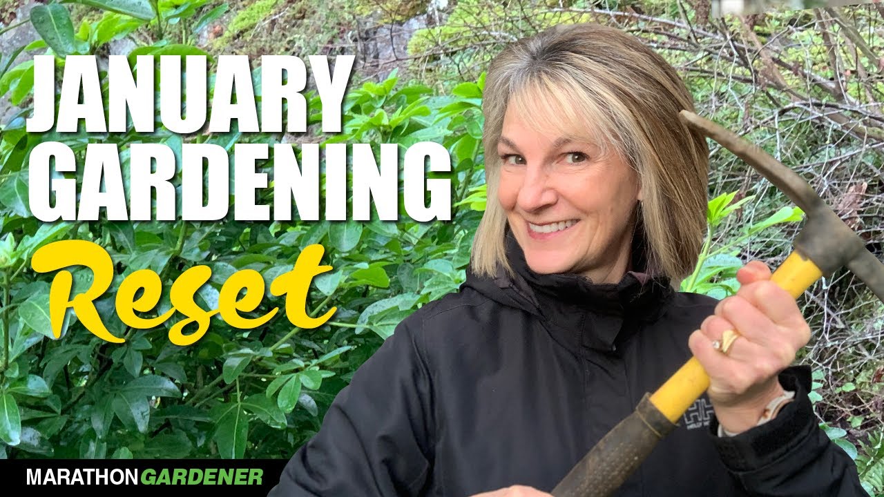 January Gardening Tasks + Starting My Spring Happiness Project