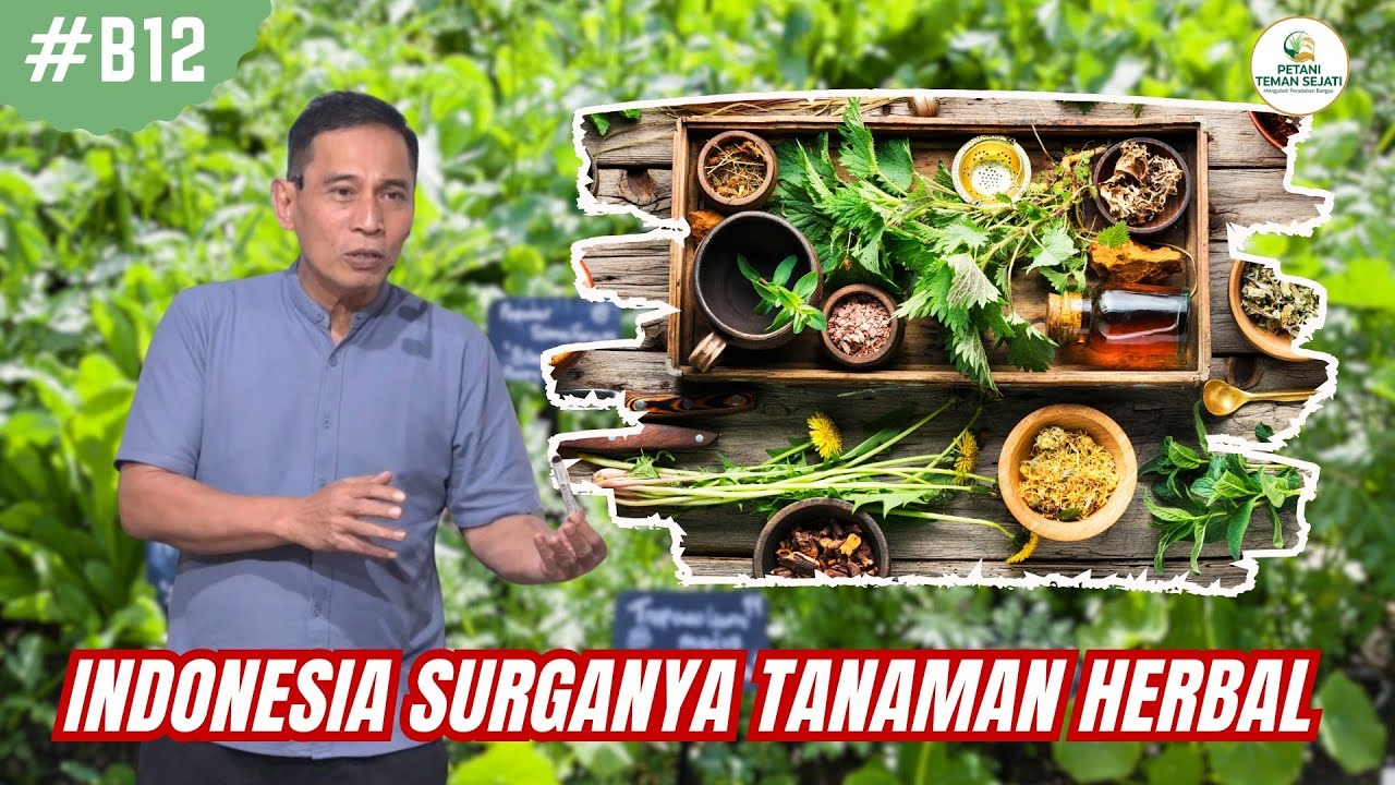 Semua Tanaman Herbal Ada di Indonesia