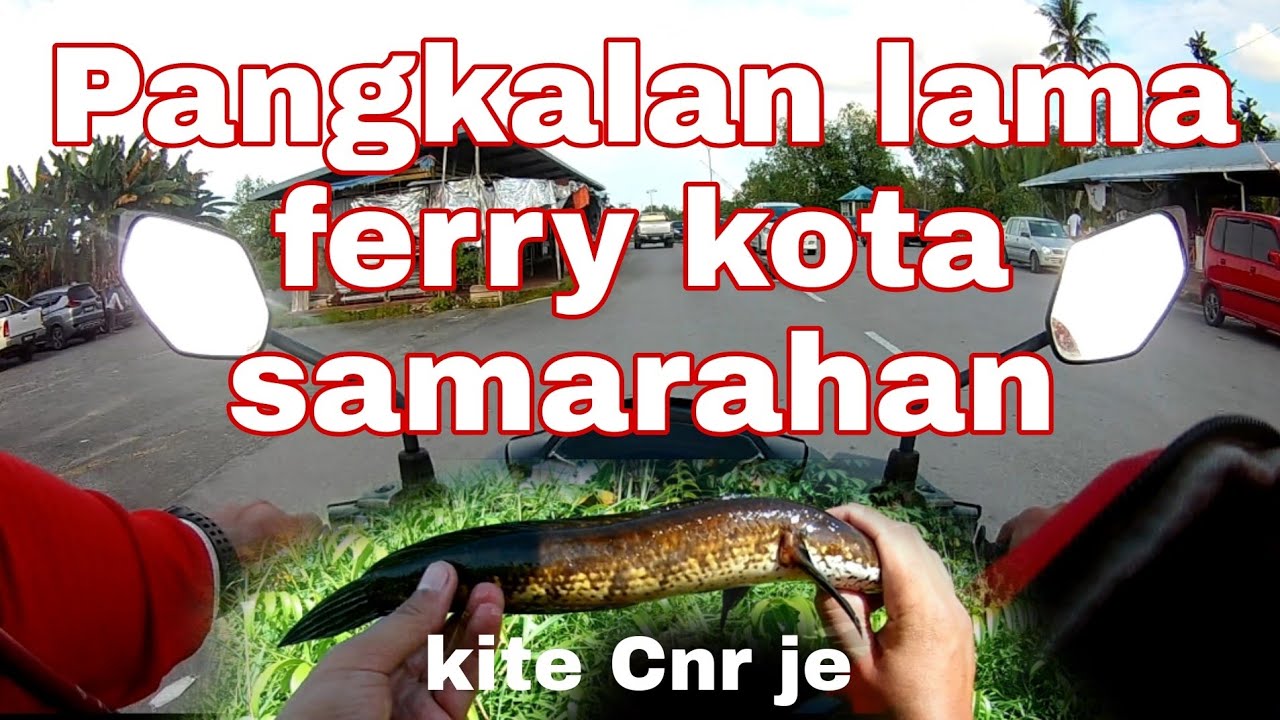 Kayo-kayo cari spot haruan di kota samarahan | ferry muara tuang | V6