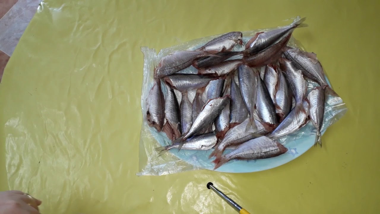 COMMENT CONGELER LE  POISSON 03   تحضيرات رمضان وضع السمك في الثلاجة