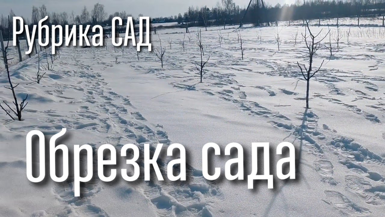 ОБРЕЗКА САДА