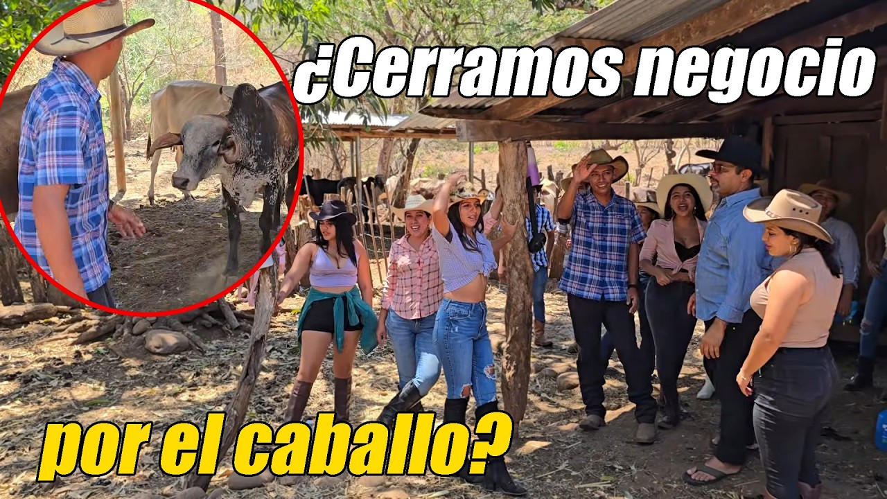 El toro les da tremendo susto a estos vaqueros😨