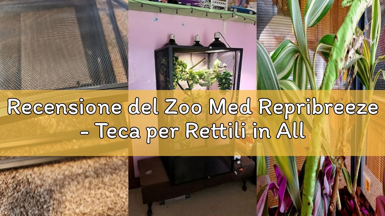 Recensione del Zoo Med Repribreeze - Teca per Rettili in Alluminio anti corrosione, Gabbia in vetro