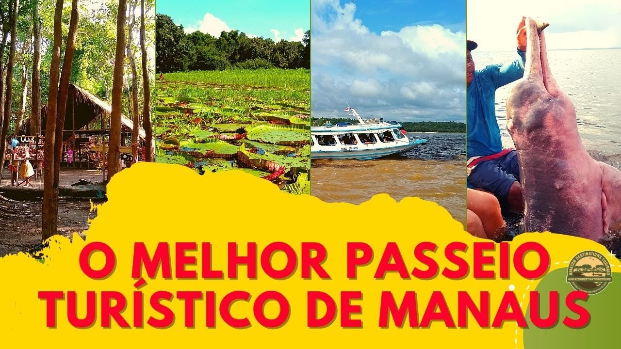 Dicas de Turismo no Amazonas I Conheça o Melhor Passeio  de Barco no Amazonas I Destinos da Amazônia