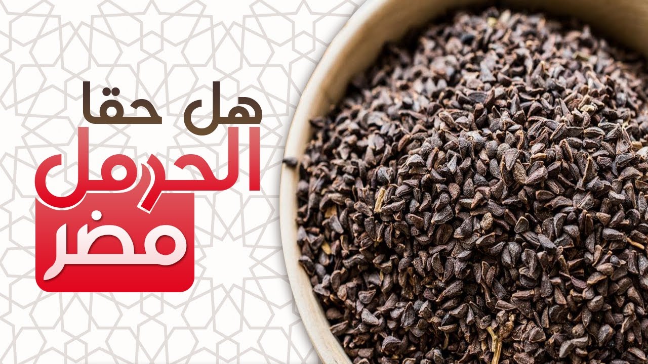 هل تعلم ماذا يفعل الحرمل بجسمك.. سبحانك ربي سيدهشك !
