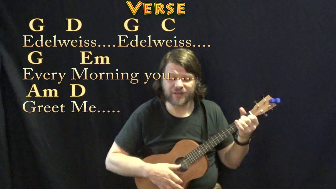 Edelweiss (The Sound of Music) Bariuke Cover Lesson in G with Chords/Lyrics