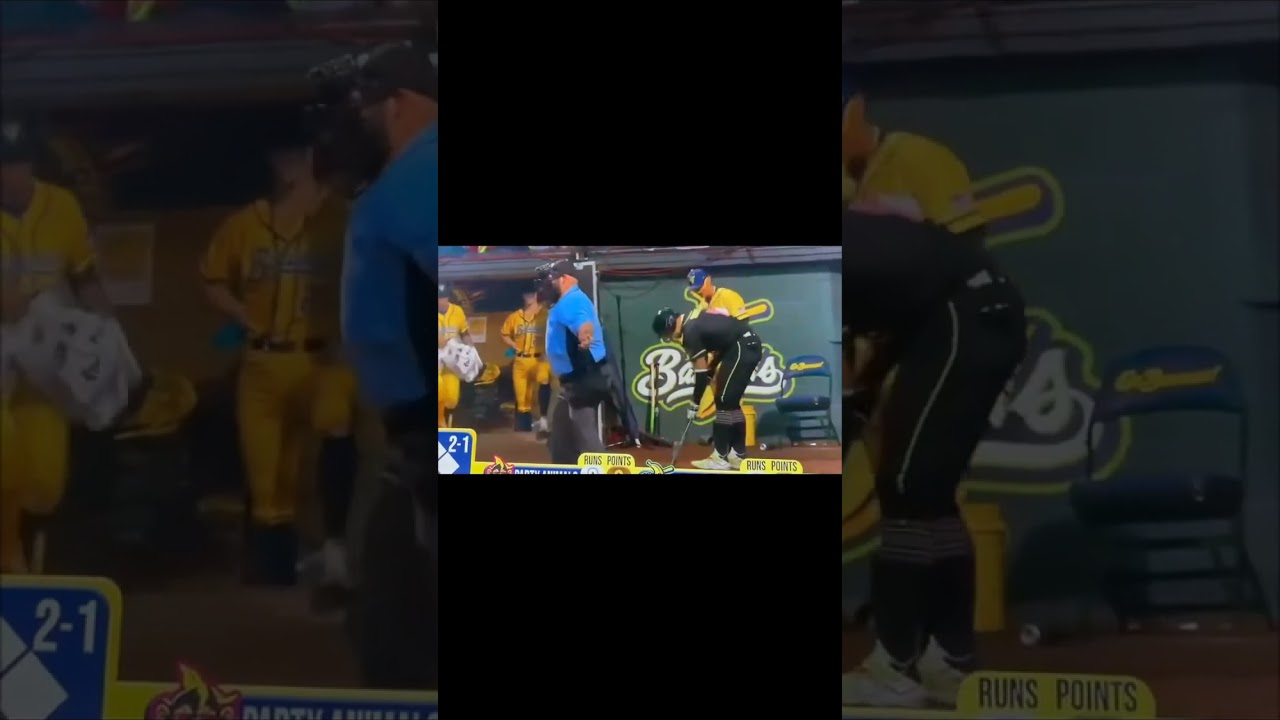 My way of celebrating the 7th inning stretch . . . #savannahbananas#feelinggood