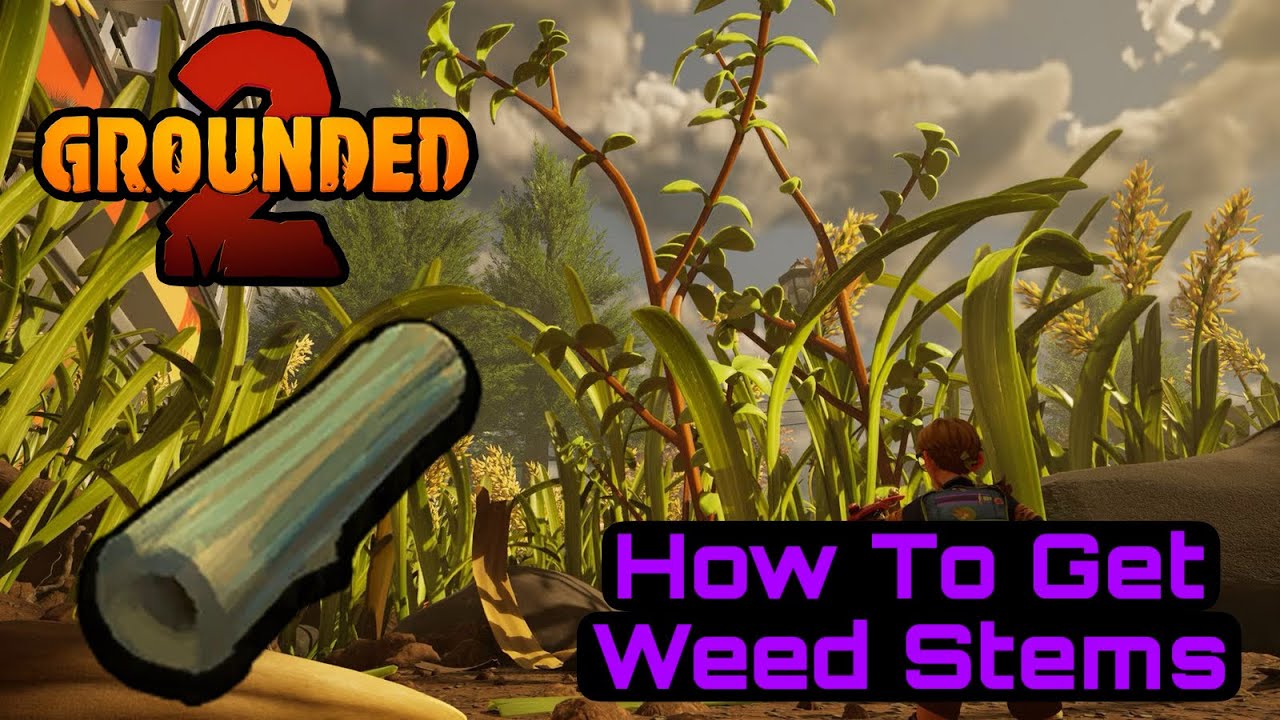 Grounded 2 - How To Get Weed Stems