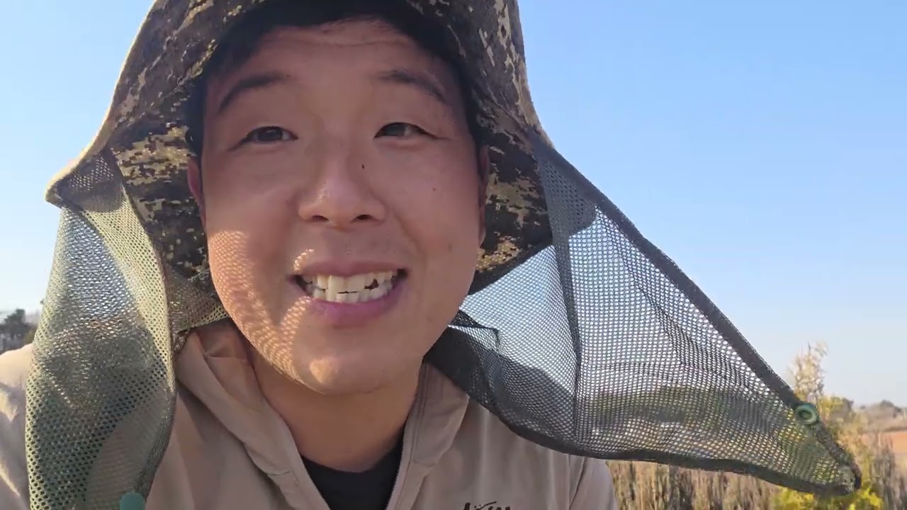 올해 예약이 가장 많은 침엽수! 작년하고 다르네요.