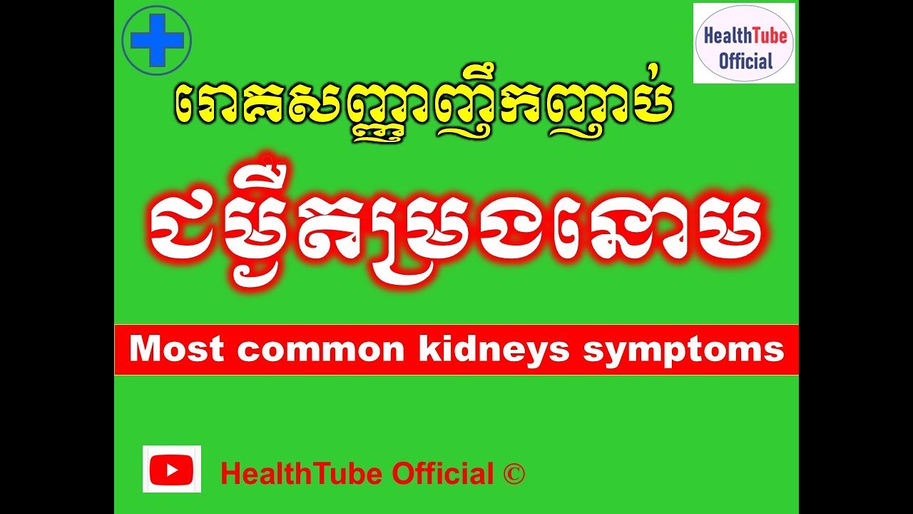 រោគសញ្ញាញឹកញាប់ ជម្ងឺតម្រងនោម l Most common kidneys symptoms lរោគសញ្ញាតម្រងនោមl@healthtubeofficial