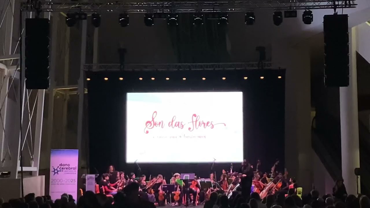 Concerto Asociación Dano cerebral (Segunda parte)
