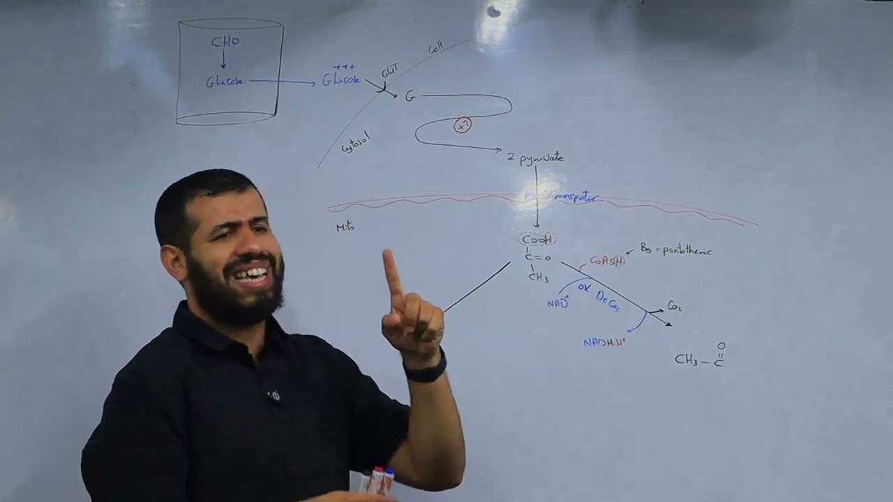 lec.5  Bio 103   Dr.Hesham Esmat