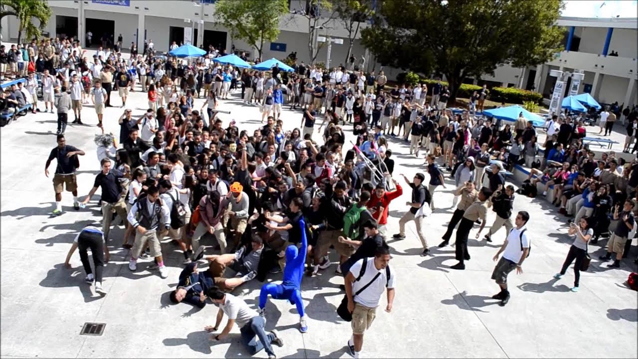 Official Braddock bulldogs HARLEM SHAKE