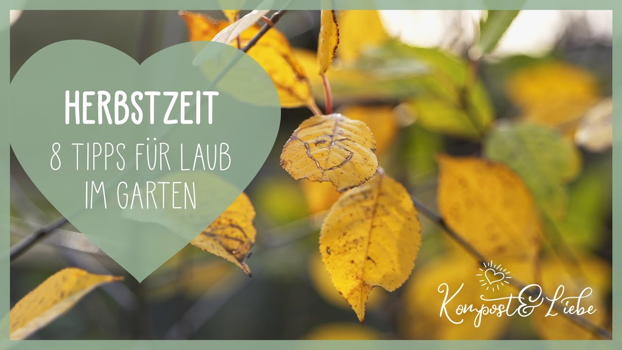 🍂 Herbstzeit - 8 Tipps was du mit Laub machen kannst 🍁🍂🌰 Gartentipps mit Herbstlaub