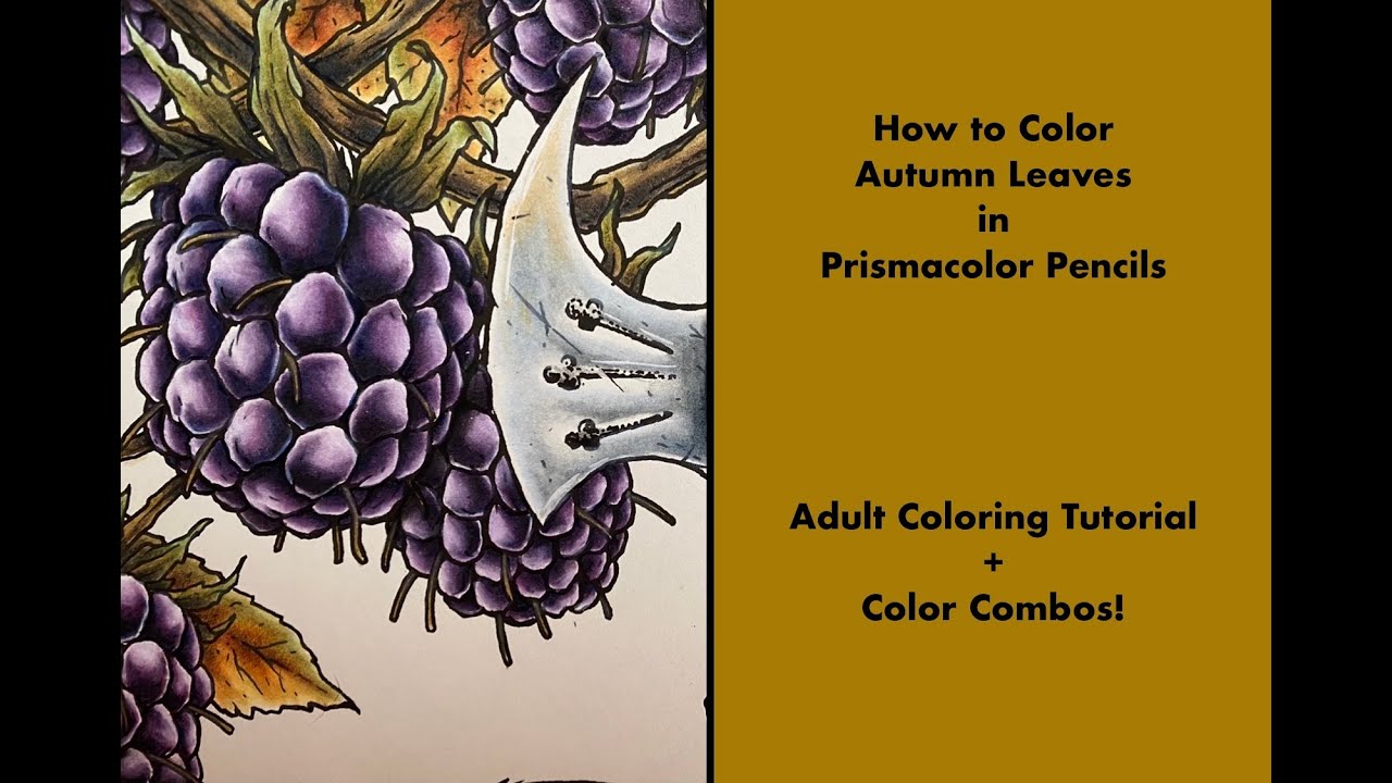 Colouring Autumn Leaves in Prismacolor Pencils - Adult Coloring Tutorial