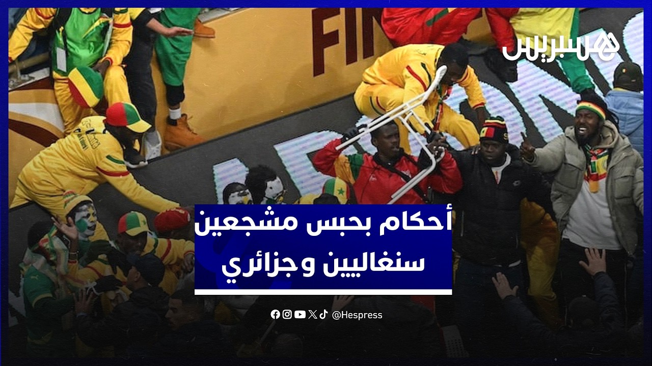 بين 3 أشهر وسنة.. أحكام بحبس مشجعين سنغاليين وجزائري متابعين في شغب نهائي كأس إفريقيا