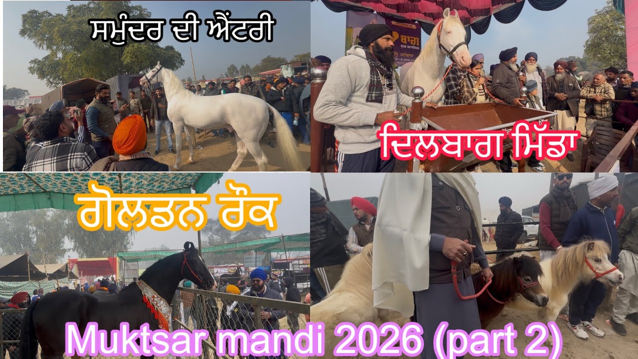 Muktsar mandi ਮੁਕਤਸਰ ਮੰਡੀ 2026 (part 2) full video