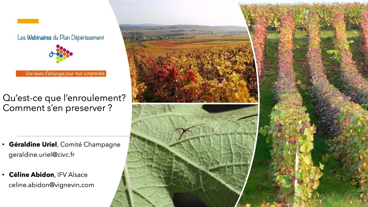 Webinaire Qu'est-ce que l'enroulement ? Comment s'en préserver ?