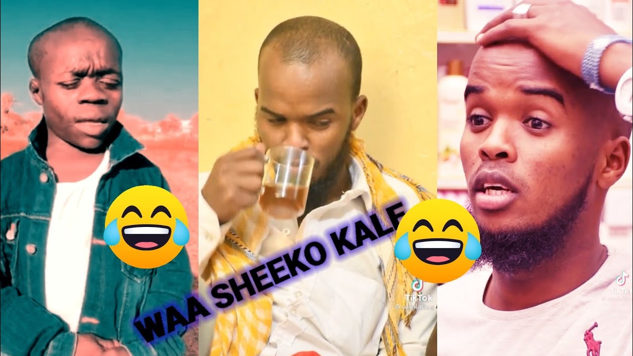 (WAA SHEEKO KALEE) IYO (GAABOW) MUUQAALADII UGU QOSALKA BADNAA 😂😂