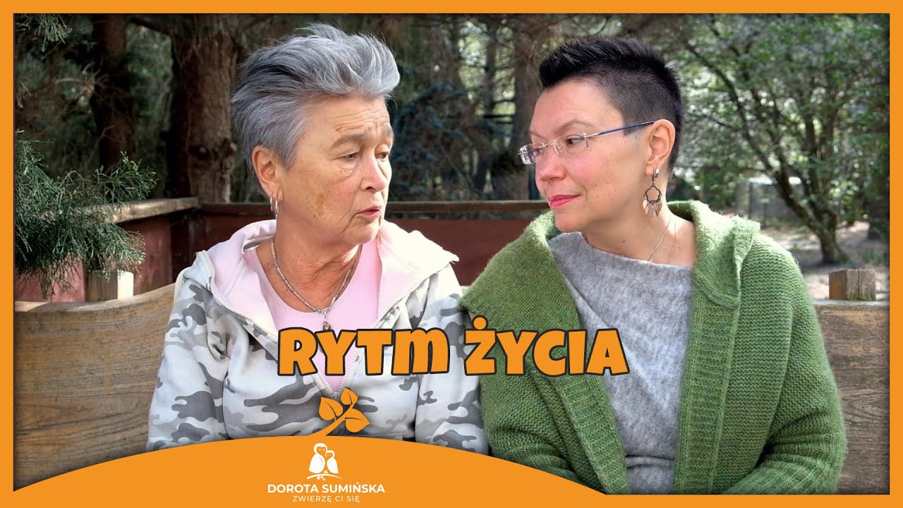 Rytm życia