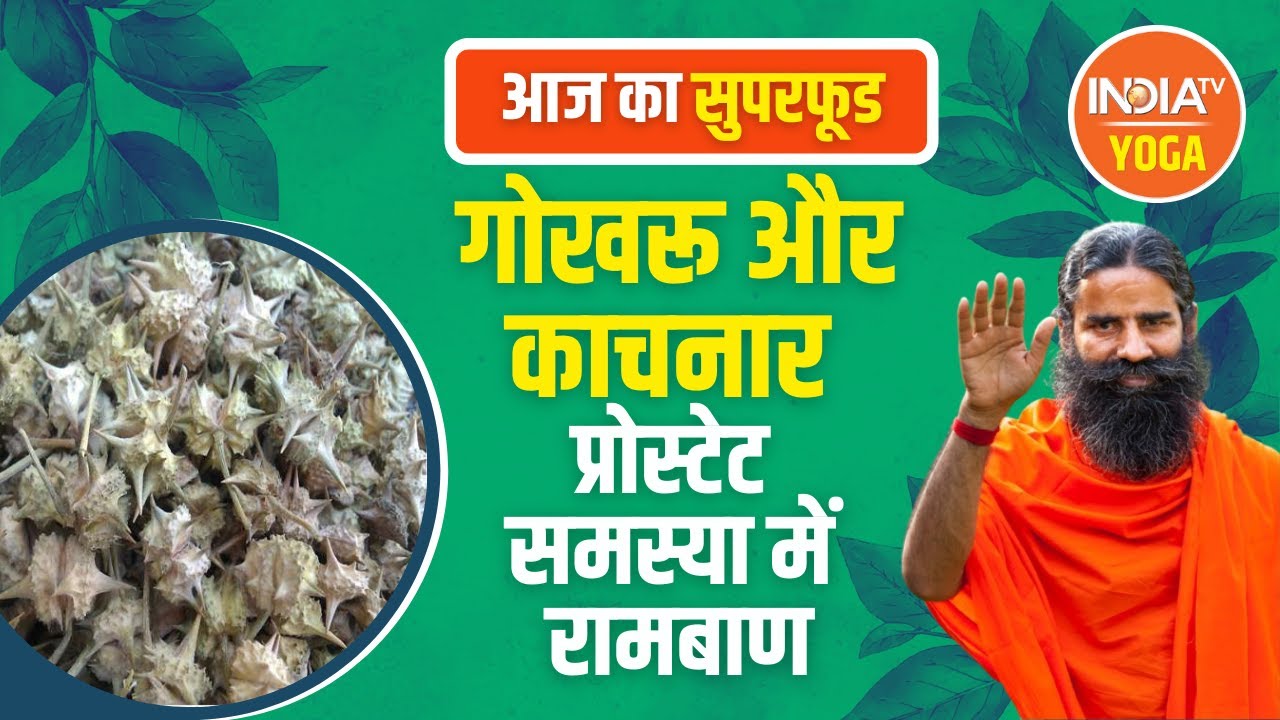 Superfood: Prostate Problem से पाना चाहते हैं निजात तो करें गोखरू और काचनार की छाल के काढ़े का सेवन