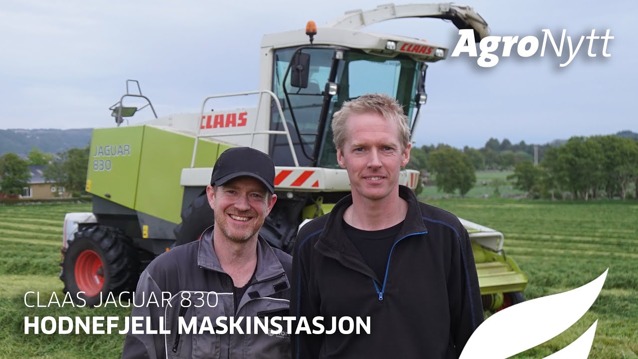 CLAAS JAGUAR 830 | Hodnefjell Maskinstasjon