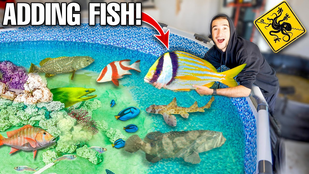 Catching EXOTIC FISH to Add to My SALTWATER POND! (New Pond Coming!)