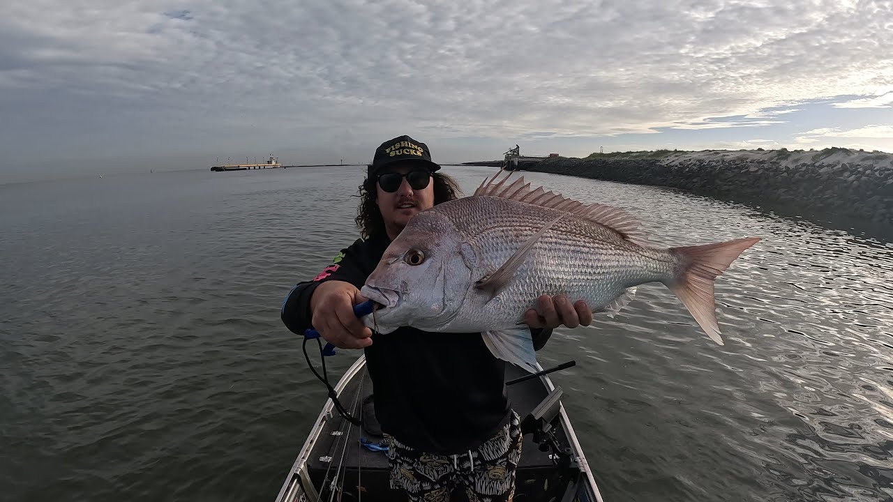 fishing the port of Brisbane (how did I stop it!)