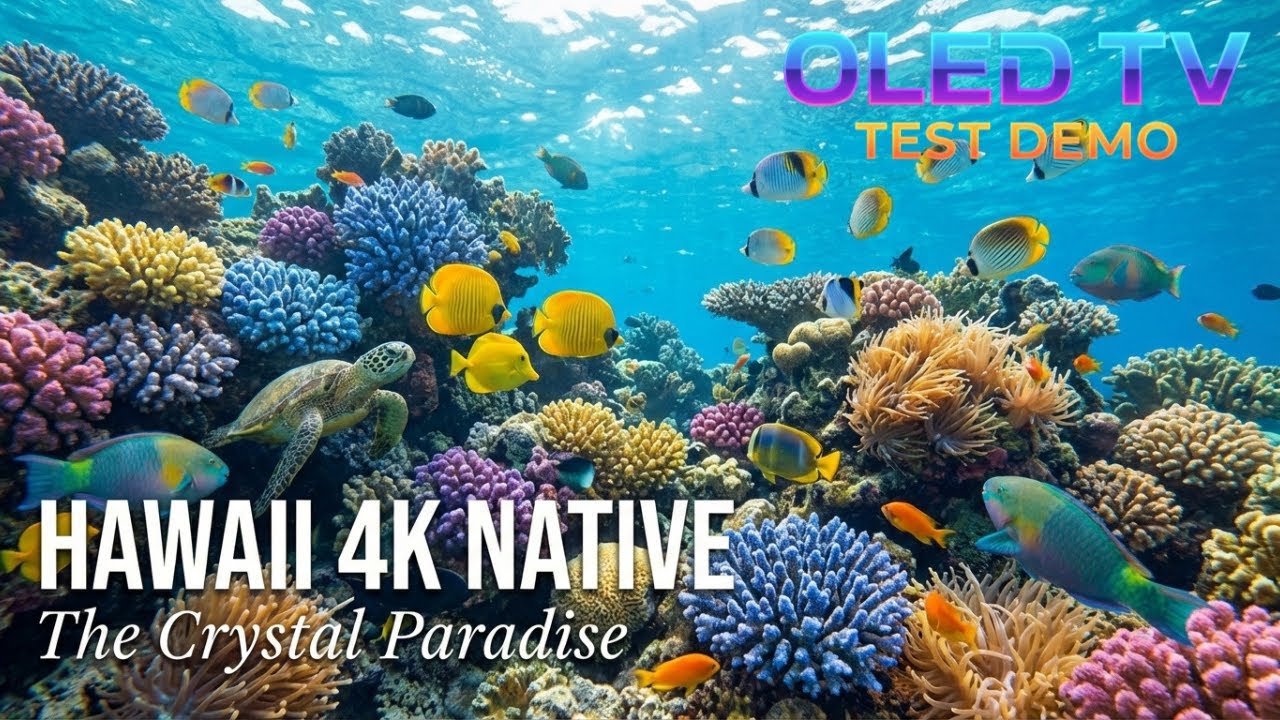 The Purest Blue: Hawaii’s Hidden Underwater World | 4K Native OLED TV Test Demo