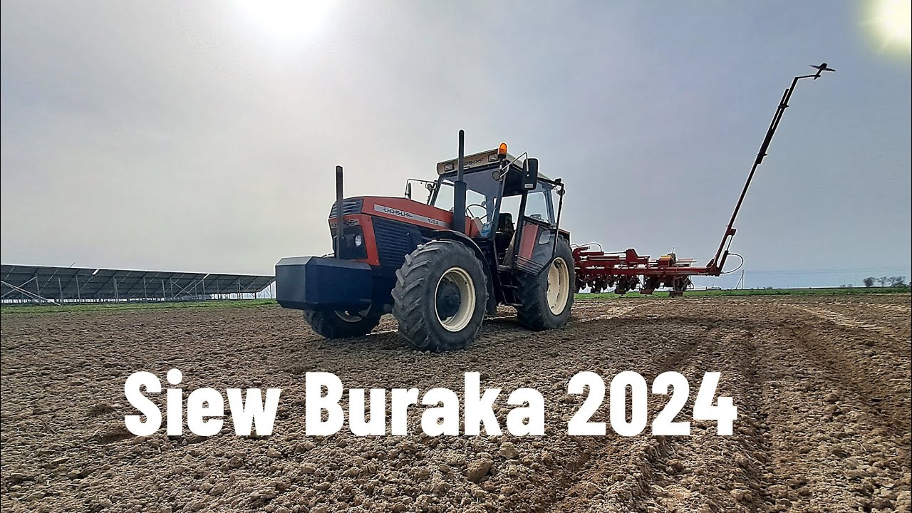Siew Buraka 2024 🌱 Ursus & Becker 😎 Hp Osale