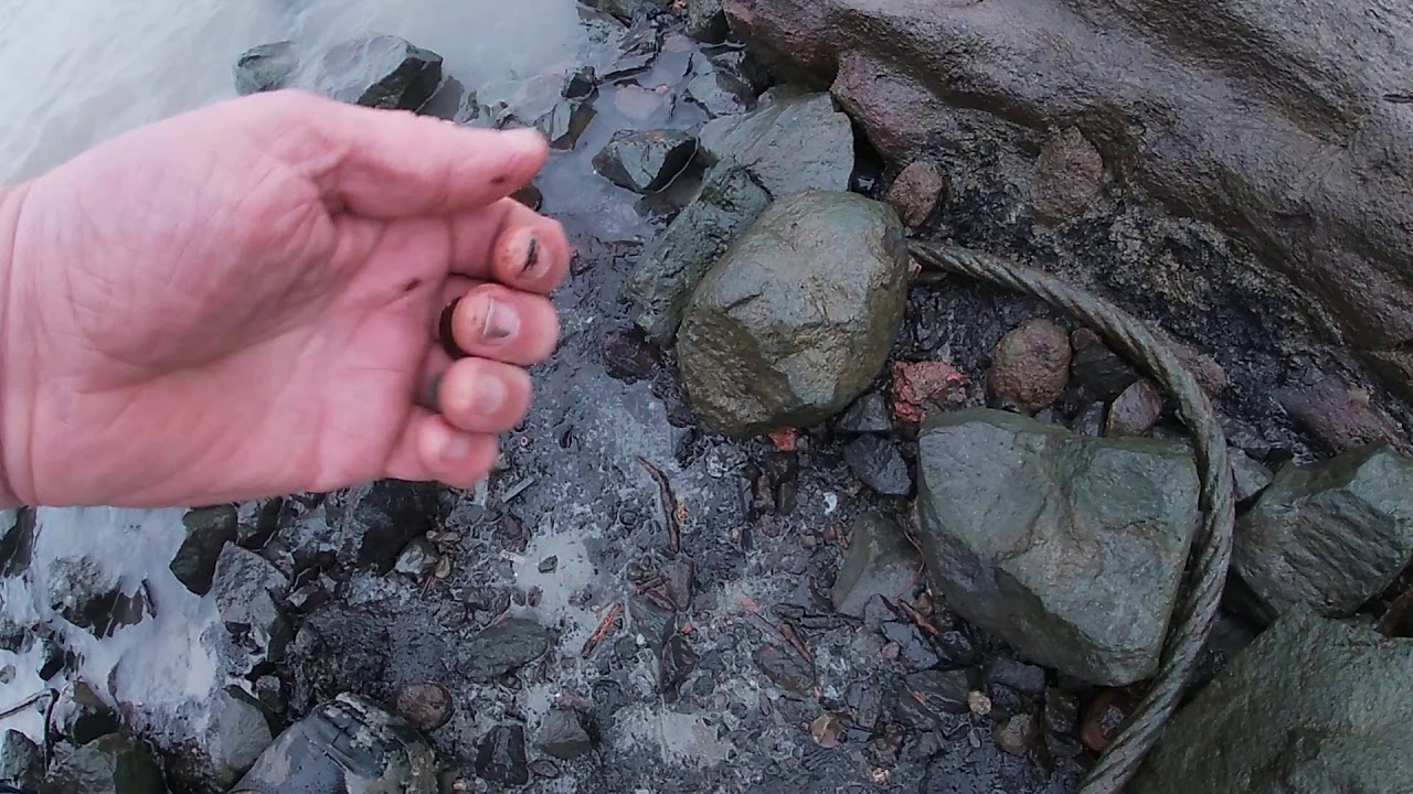 Mudlarking the Netherlands 45, saved a fish and found a coin