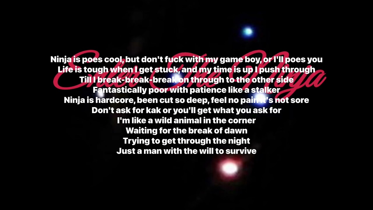 Die Antwoord - Enter The Ninja (Lyrics Video)